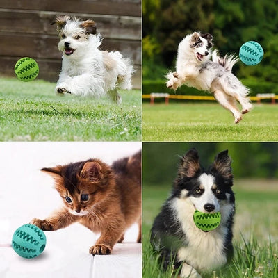 Dental Chew Treat Ball