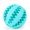 Dental Chew Treat Ball