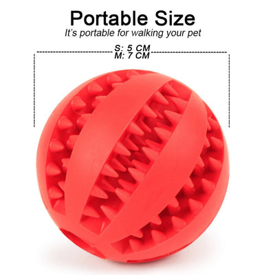 Dental Chew Treat Ball