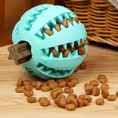 Dental Chew Treat Ball