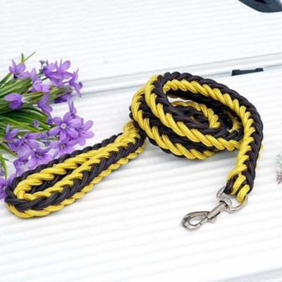 Heavy Duty Dog Leash