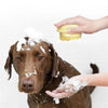 Pet Bathing Rubber Dog Brush
