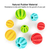 Dental Chew Treat Ball